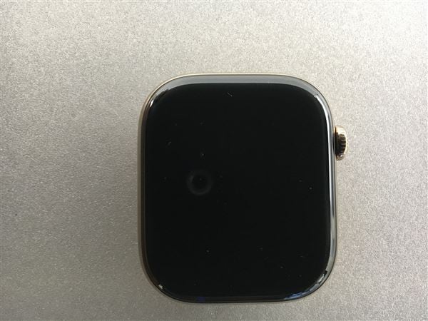 yÁzySۏ؁z Series10[46mm/Z[]`^ S[h Apple Watch