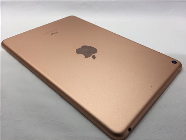 yÁzySۏ؁z iPad mini 7.9C` 5[64GB] Wi-Fif S[h