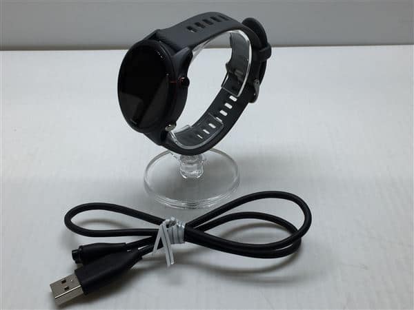 �y���Áz�y���S�ۏ؁z GARMIN Forerunner 255 45.6mm �X���[�g�O���[