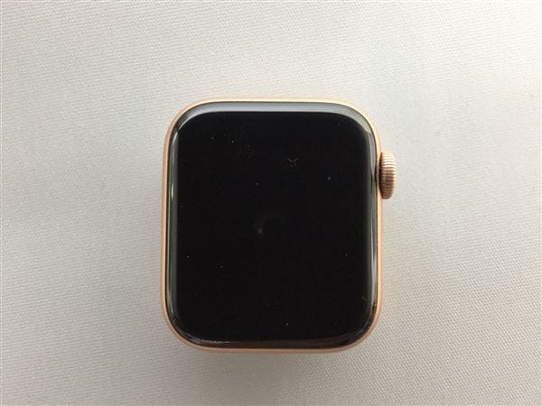 yÁzySۏ؁z oh Series5[40mm/GPS]A~ S[h Apple Watch