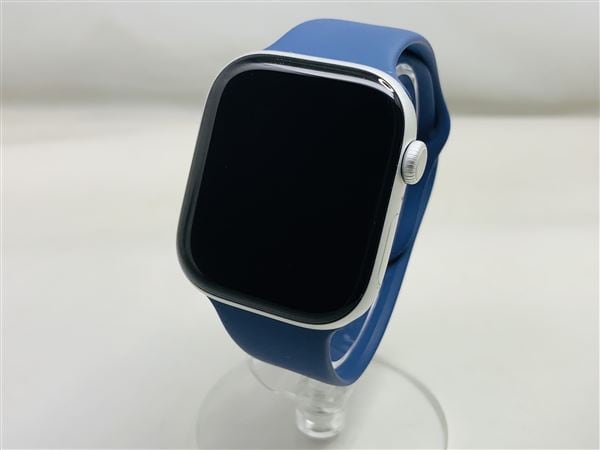 �y���Áz�y���S�ۏ؁z Series10[46mm/GPS]�A���~ �V���o�[ Apple Watch