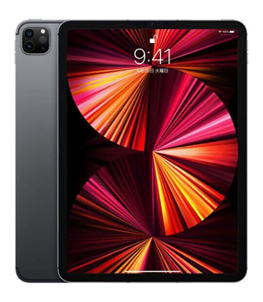ipad pro 11インチ 第一世代 256gb （iPad Pro 11インチ（第1