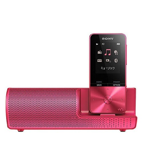 �y���Áz�y���S�ۏ؁z S310�V���[�Y[16GB](�r�r�b�h�s���N)NWS315K