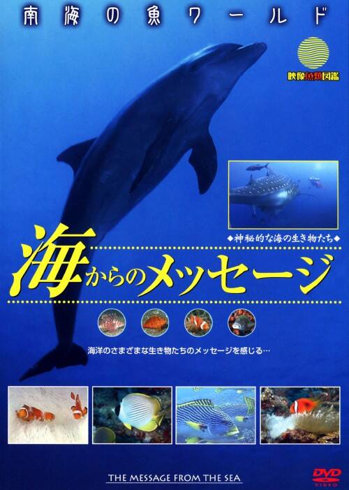 (未使用･未開封品)　南海の魚ワールド 海からのメッセージ 映像魚類図鑑 [DVD] tu1jdyt ゲオ公式通販サイト/ゲオオンラインストア【中古】南海の魚ワールド 海