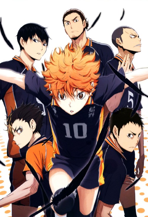 DVD ハイキュー!! 　1st ファーストシーズン　vol.1～9　 全9巻 DVD ハイキュー!! 1st ファーストシーズン vol.1～9 全9巻