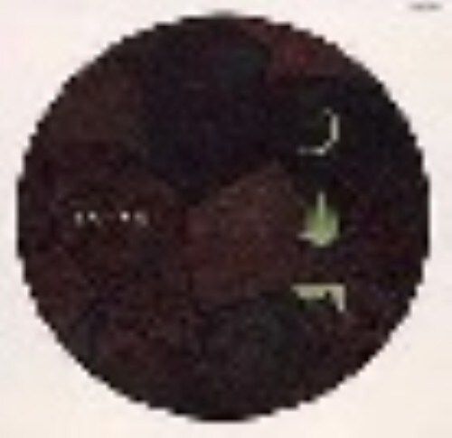 【中古】姿見一青也 【DVD】/一青窈