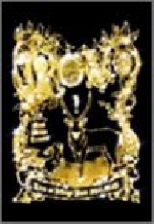 【中古】初限)ROVO LIVE at 日比谷野音 2004… 【DVD】/ROVO