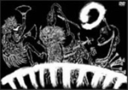 【中古】THE BACK HORN/爆音夢花火 【DVD】/THE BACK HORN