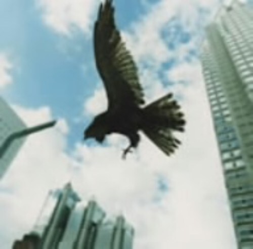 yÁzbN^}̖Q yDVDz^bN