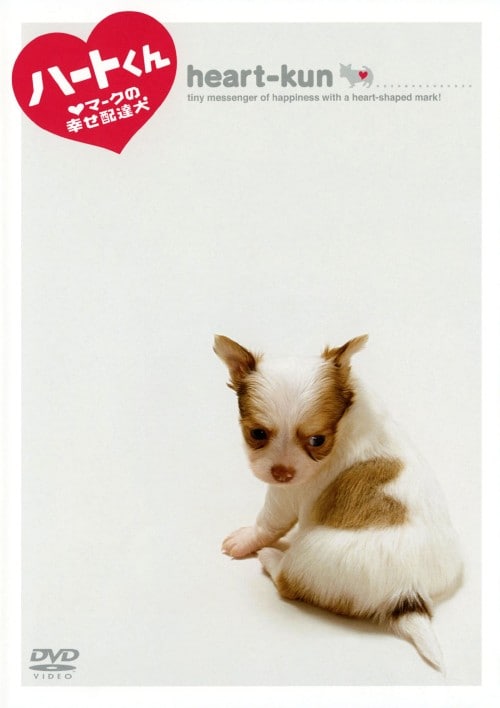 yÁzn[g n[g}[N̍KzB yDVDz