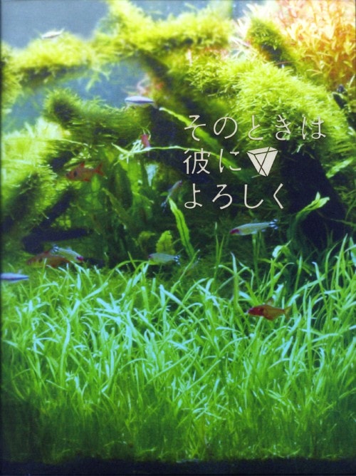 yÁẑƂ͔ނɂ낵 SPEED yDVDz^V܂