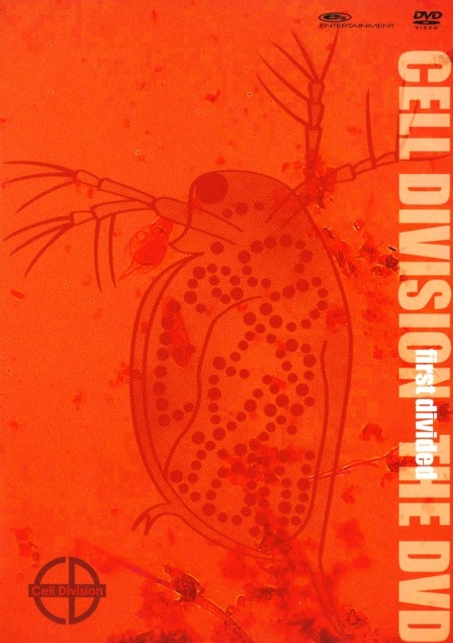 yÁzCELL DIVISION first divided the DVD yDVDz^ؒB