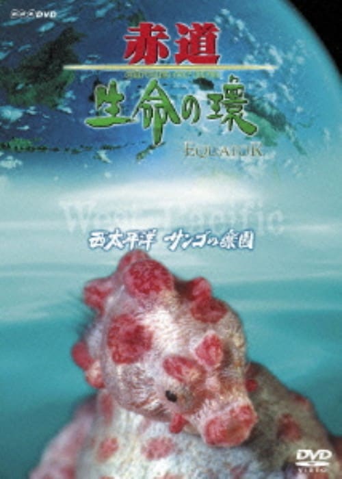 yÁzԓ ̊ 吼m TS̊y yDVDz