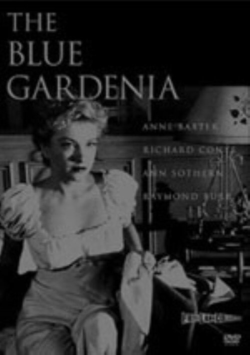 yÁzu[EK[fBjA yDVDz^AEoNX^[