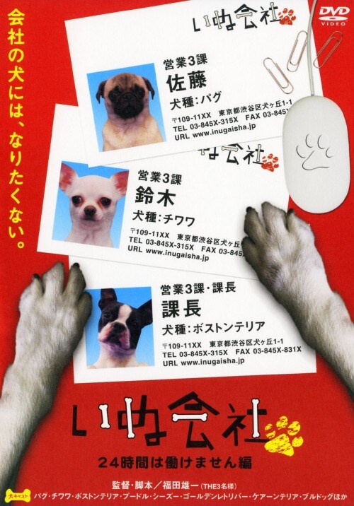 yÁzʉ QSԂ͓܂ yDVDz^͂