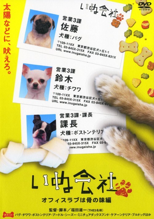 yÁzʉ ItBXu͍̖ () yDVDz^͂