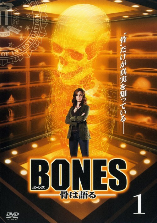 yÁzPDanmdr ͌ yDVDz^G~[EfVl