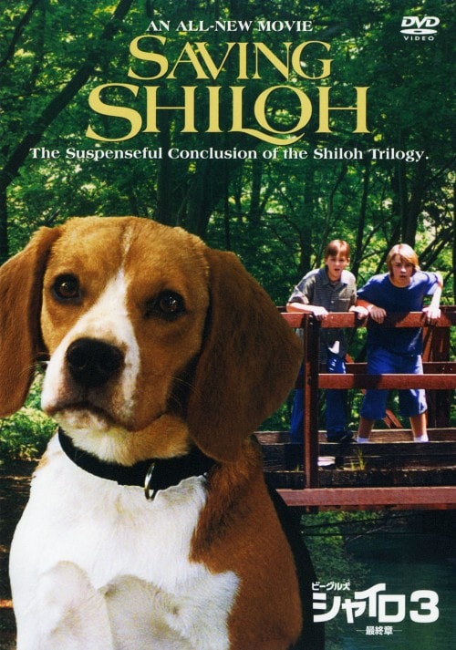 ゲオ公式通販サイト ゲオオンラインストア 中古 ３ ビーグル犬 シャイロ 最終章 完 Dvd ジェイソン ドリー Dvd
