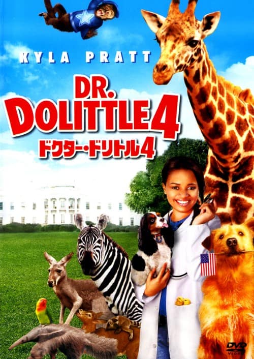 �y���Áz�S�D�h�N�^�[�E�h���g�� �yDVD�z�^�J�C���E�v���b�g