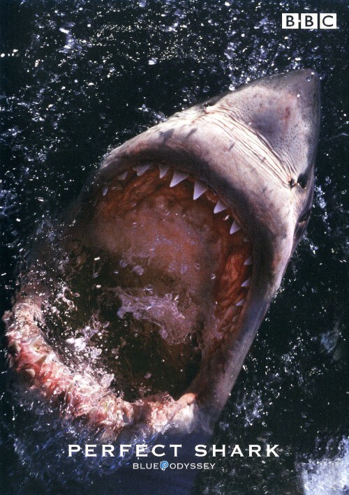 【中古】ブルー・オデッセイ シリーズ パーフェクト・シャーク 【DVD】