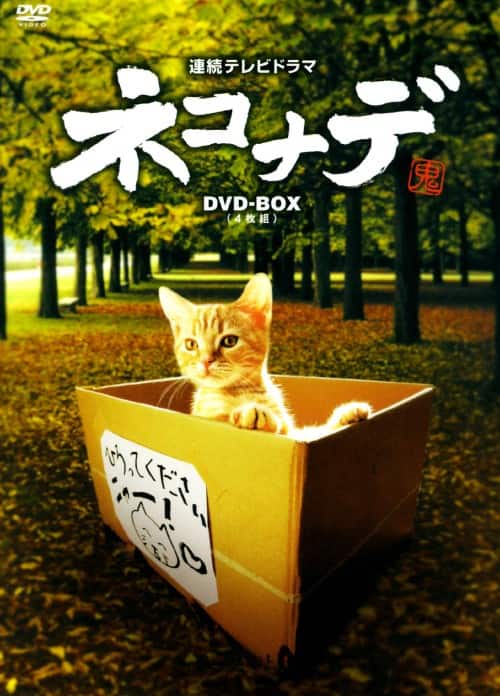 �y���Áz�l�R�i�f (TV��) BOX �yDVD�z�^���ؖΌ�