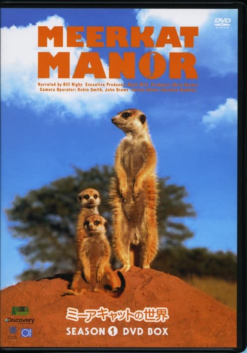 �y���Áz�~�[�A�L���b�g�̐��E 1st BOX �yDVD�z�^�r���E�i�C