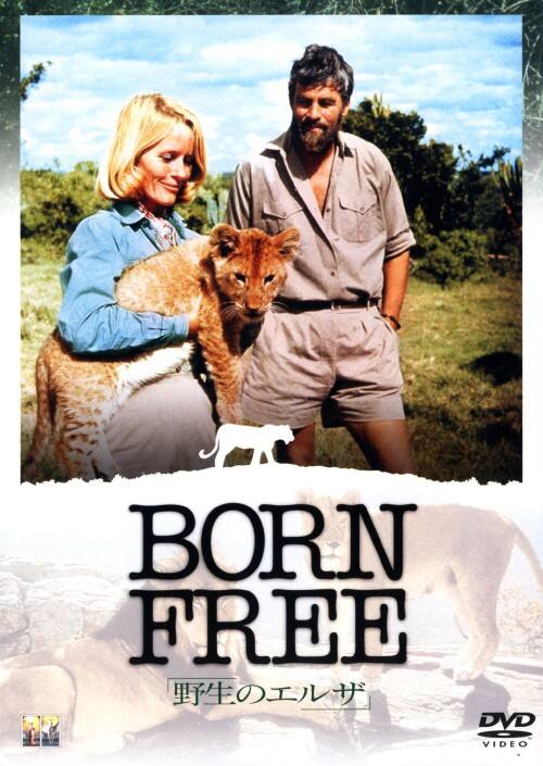 �y���Áz�����j�쐶�̃G���U �yDVD�z�^�o�[�W�j�A�E�}�b�P���i