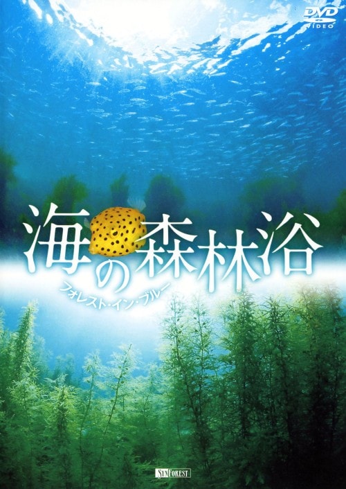 ゲオ公式通販サイト/ゲオオンラインストア【中古】スペイン代表監督