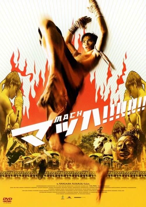 yÁz}bnI yDVDz^gj[EW[