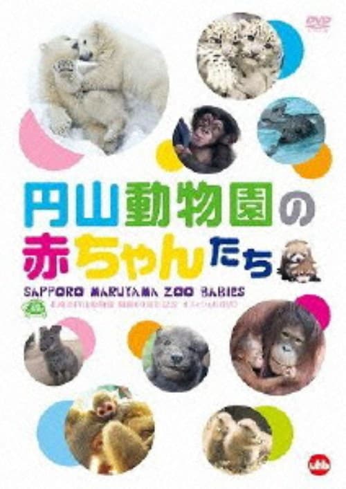 ゲオ公式通販サイト/ゲオオンラインストア【中古】円山動物園の