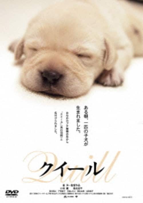 ゲオ公式通販サイト/ゲオオンラインストア【中古】犬と私の10の約束