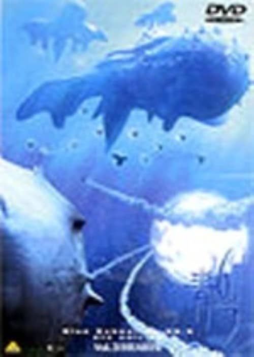 yÁzPD̂U uBLUESv dts ED yDVDz^cقÂ