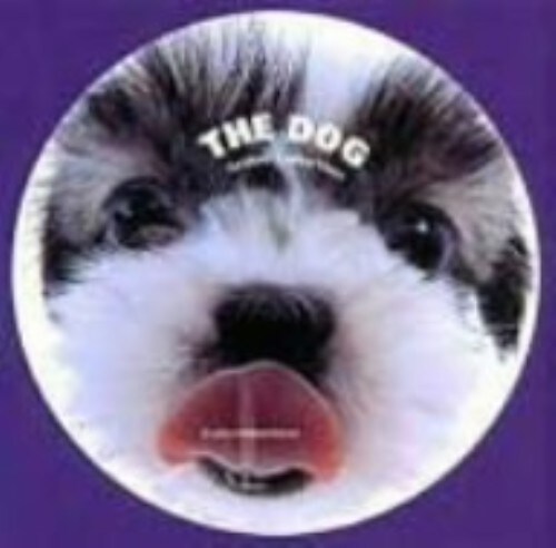 yÁzTHE DOG V[EY[ yDVDz
