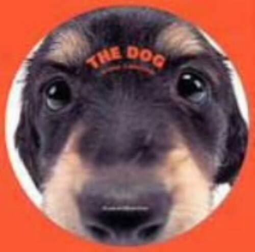 �y���ÁzTHE DOG �~�j�`���A�E�_�b�N�X�t���h �yDVD�z