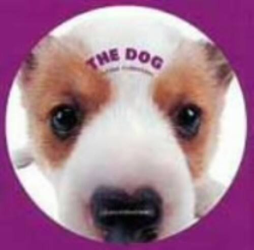 �y���ÁzTHE DOG �E�C���b�V���E�R�[�M�[ �yDVD�z