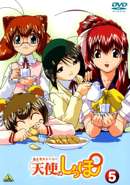 yÁzjTDƂXg[[ Vĝ yDVDz