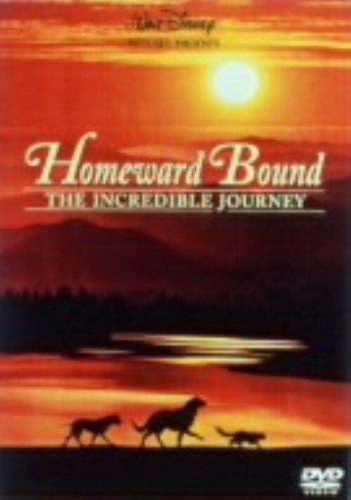 yÁzՂ̗ yDVDz^o[gEwCY