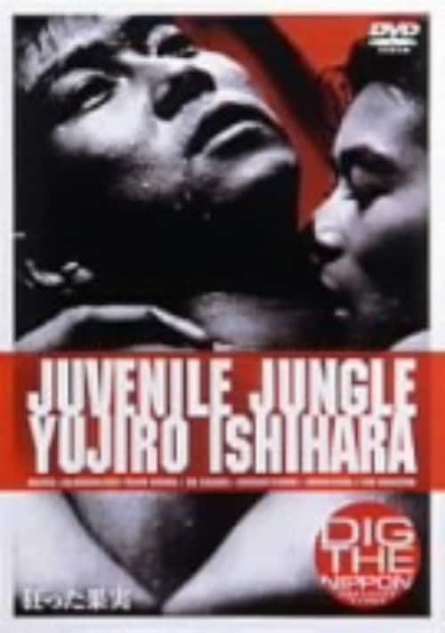 �y���Áz�������ʎ� (1956) �yDVD�z�^�Ό��T���Y
