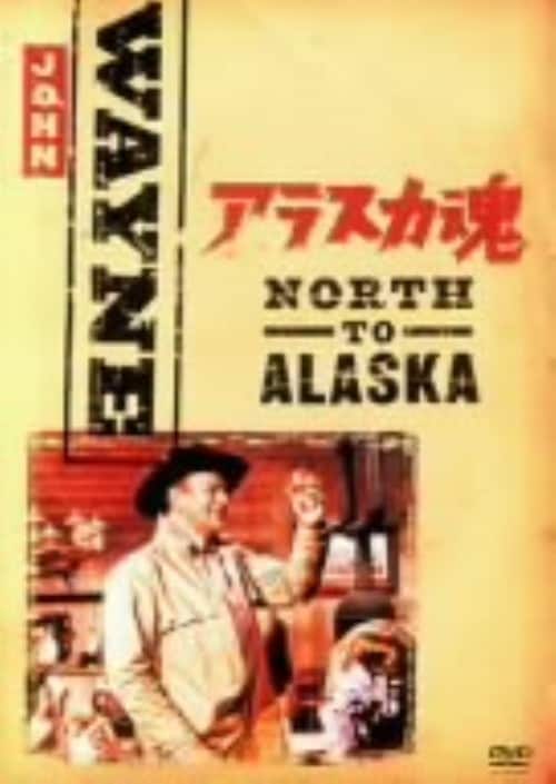 ゲオ公式通販サイト/ゲオオンラインストア【中古】真昼の決闘 【DVD