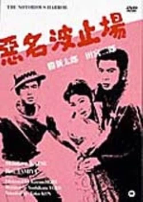 悪名 DVD-BOX・第一巻(中古品)