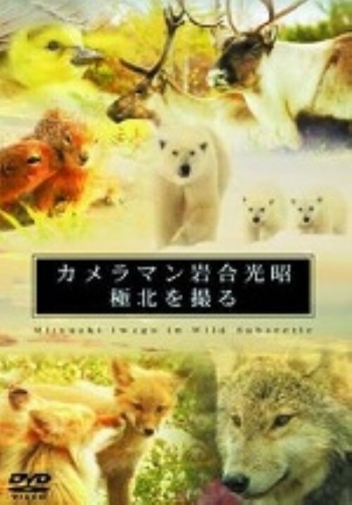 (未使用･未開封品)カメラマン岩合光昭 極北を撮る DVD-BOX ゲオ公式通販サイト/ゲオオンラインストア【中古】カメラマン