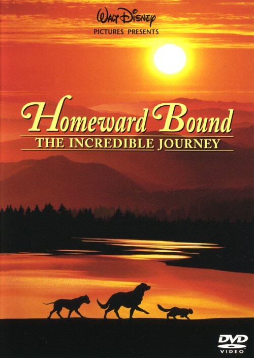 �y���Áz��Ղ̗� �yDVD�z�^���o�[�g�E�w�C�Y