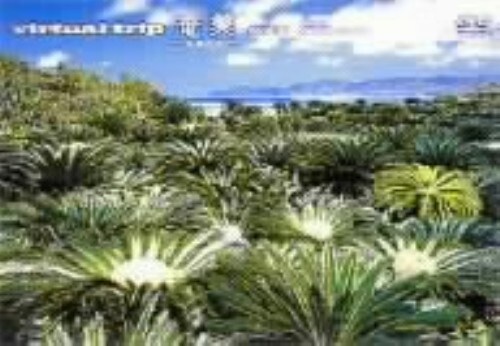 yÁzvirtual trip  ̐X yDVDz