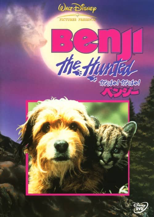 �y���Áz����΂�I����΂�I�x���W�[ �yDVD�z�^�t�����N�E�C��