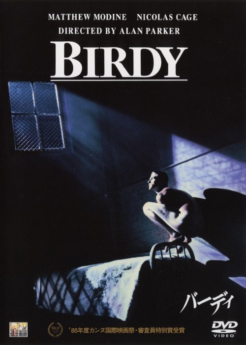 yÁzjo[fB yDVDz^}V[EfB