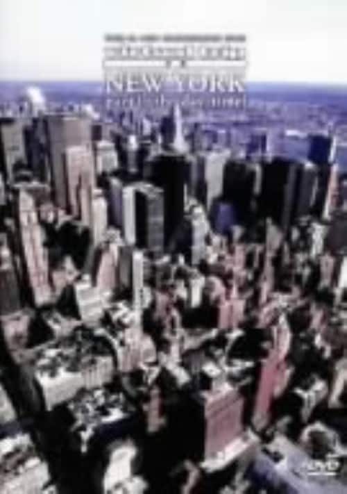 �y���Áz�P�Dvirtual Trip ��B�j���[���[�N the day time �yDVD�z