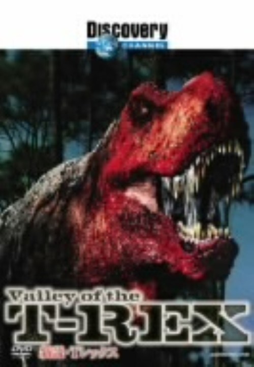 yÁzfBXJo[`l VET-bNX yDVDz