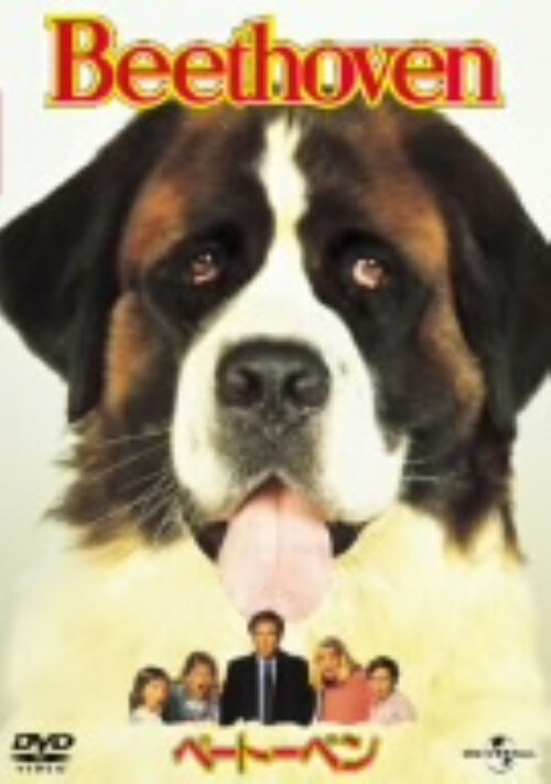 yÁzx[g[x yDVDz^`[YEO[fB