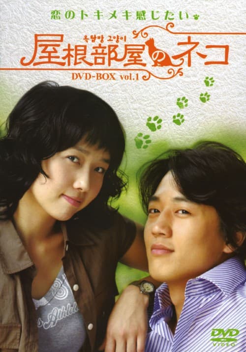 【中古】1.屋根部屋のネコ BOX 【DVD】/キム・レウォン