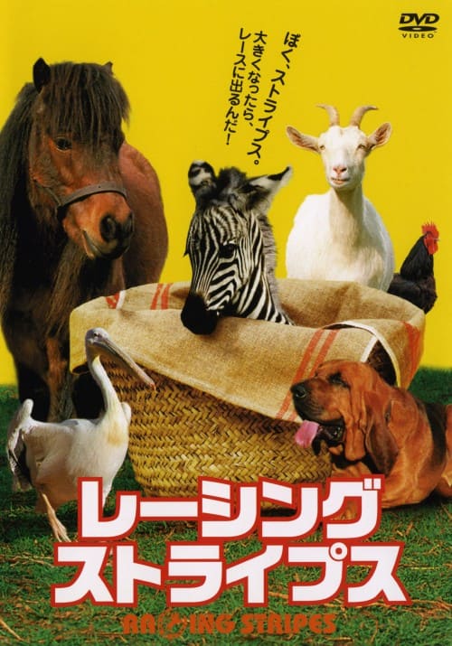 ゲオ公式通販サイト/ゲオオンラインストア【中古】がんばれ！ベアーズ